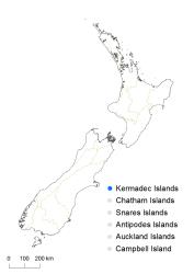 Asplenium shuttleworthianum distribution map based on databased records at AK, CHR, OTA & WELT.
 Image: K. Boardman © Landcare Research 2017 CC BY 3.0 NZ